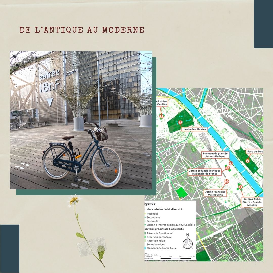 timonetpumbike's tweet photo. 8ème parcours de l'Atlas de la Nature à Paris : départ des arènes de Paris, visite du quartier de la @laBnF et arrivée au parc de Bercy 🚴‍♀️🚴🌱
.
.
.
#parisfrance #voyageavelo #veloroute #velotourisme #atlasdelanature #igersparis #visitparis #parisvibes #parismaville https://t.co/vTEz3Y9Ycn
