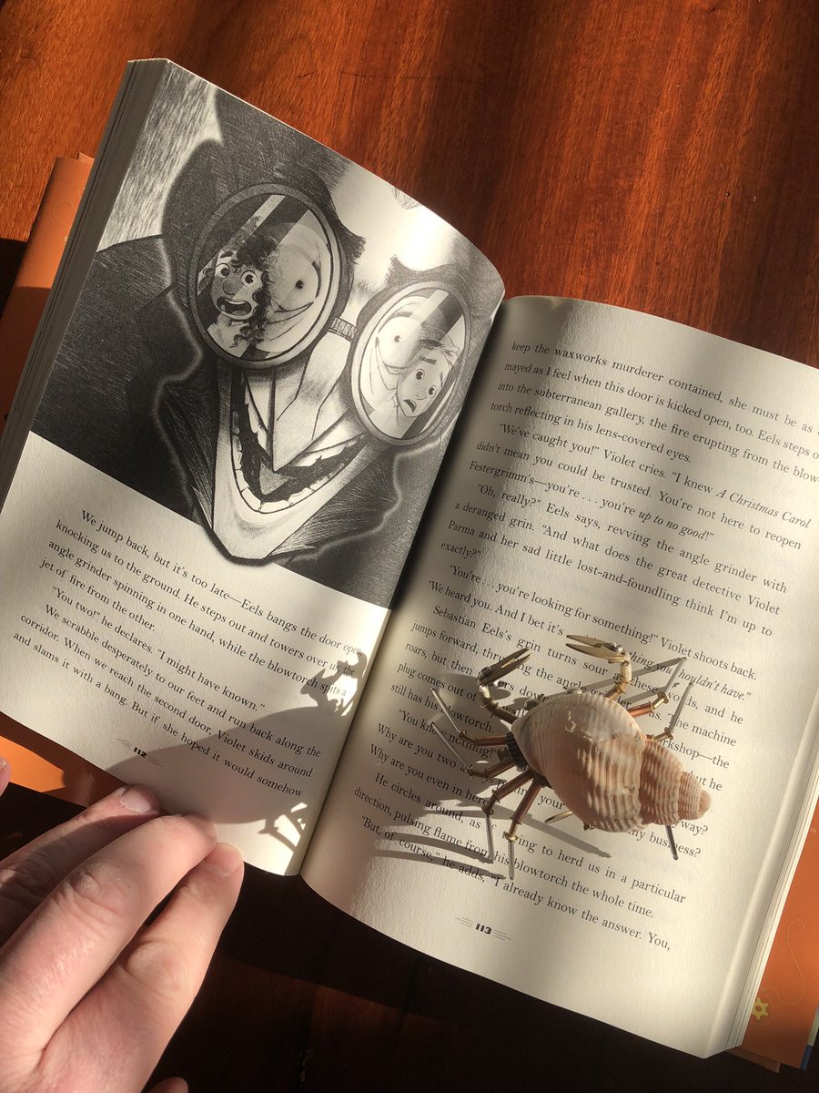 ThomasHTaylor's tweet photo. I received a copy of the illustrated US edition of #festergrimm, published this month. And, as ever, it is packed with @TallTomsTales’s sumptuous pictures. Thank you, @walkerbooksus, for producing such beautiful editions. And thank you, Tom, for your amazing art! #malamander https://t.co/eMxSsWrWSw