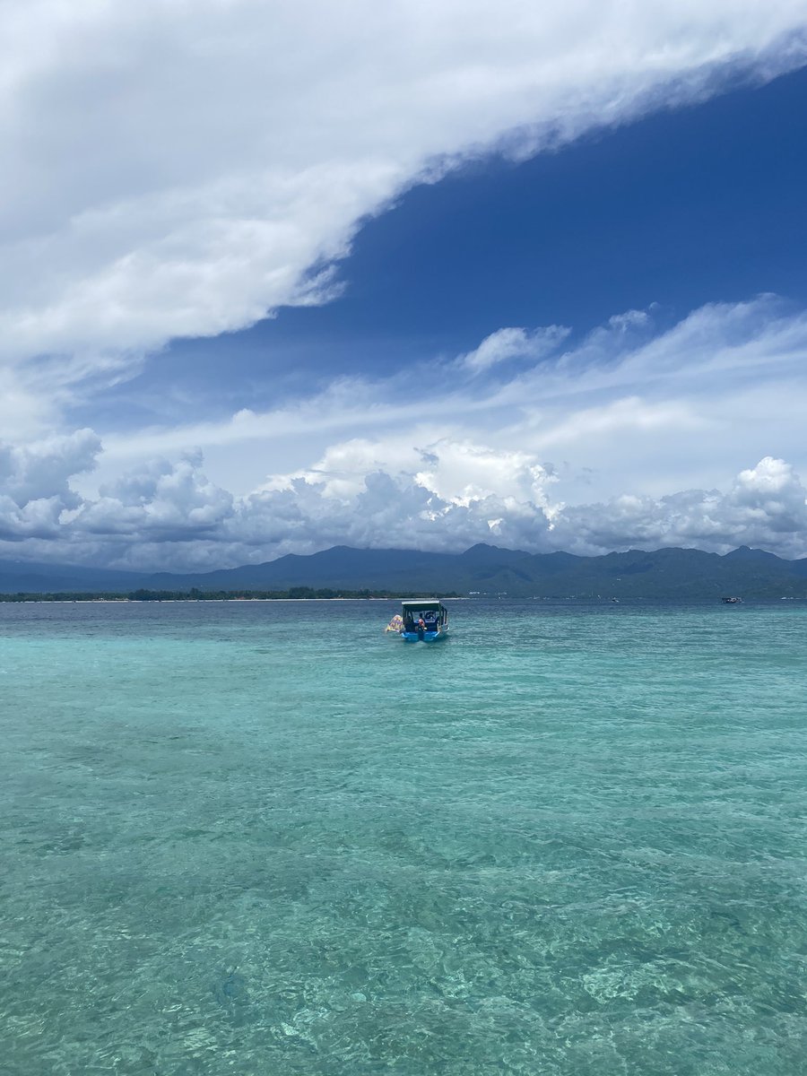 euRingo's tweet image. 🇸🇬