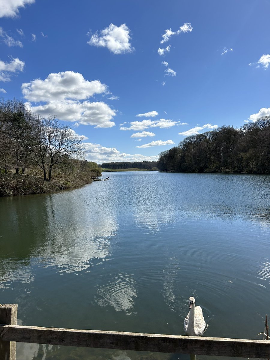 dpodman14's tweet photo. Spent a lovely day yesterday @NTClumberPark . Sun walk and ice cream ! #GoodDay #SunnySpring https://t.co/H0VgqjoOMh