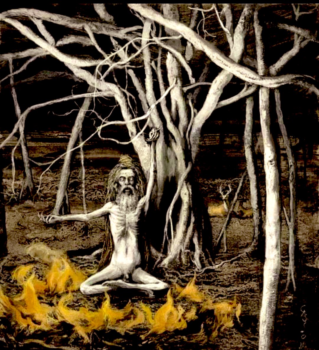 SanatanTalks's tweet photo. Pippalad Rishi and Shani Dev:

When Maharishi Dadhichi's body was being cremated in the crematorium. https://t.co/lvFQ0x2IFw