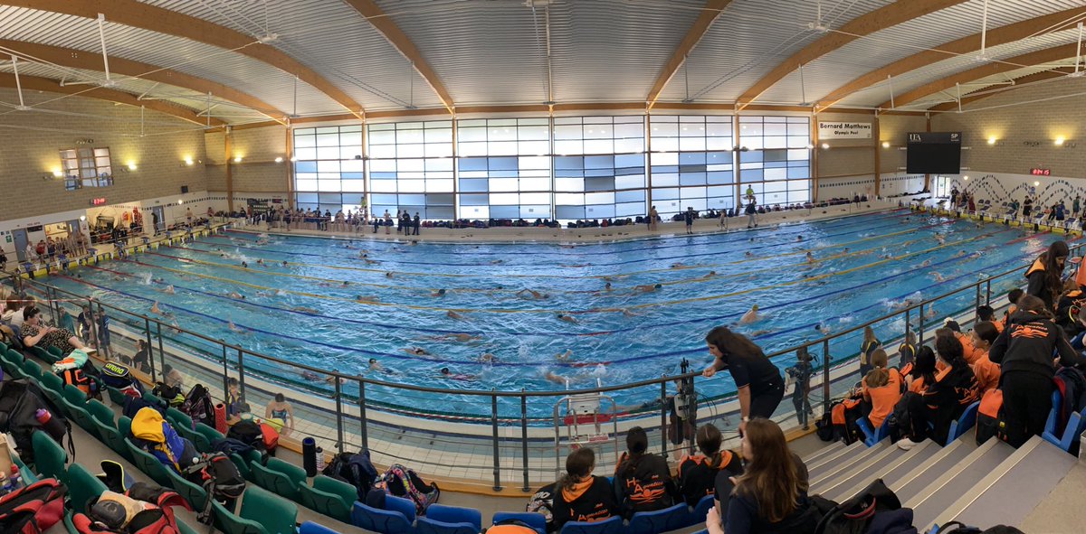 Repton Swimming tweet media