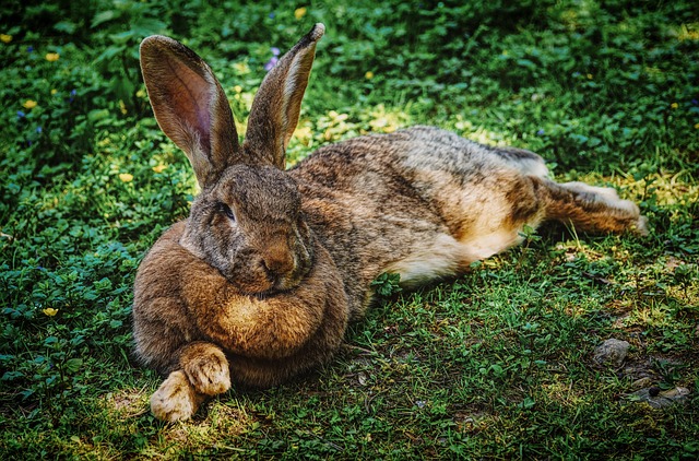 Mitten in den spannenden Masters wollen wir die Ostergrüße nicht vergessen.
Schöne Ostertage!
