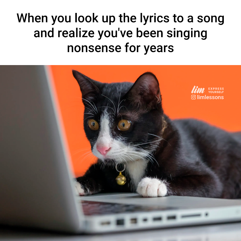 What's your favorite song? 🎵😀

#learnenglish #mistakesinenglish #music #lyrics #sing #languages #catsofinstagram #funnycat  #memes #funny #meme #cats #catlovers #cutecat #grammar #humor #improveyourenglish #speakenglish #comedy #laugh #memestagram #memeoftheday #studyenglish