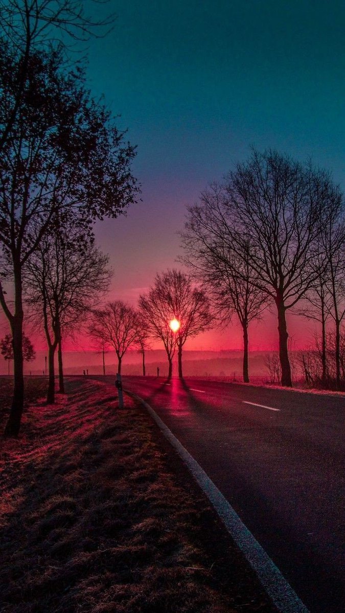 rosmary1741's tweet photo. I think the saddest people always try their hardest to make people happy because they know what it’s like to feel deeply unhappiness and they don’t want anyone else to feel like that.
.・。.・゜✭・.✫・゜・。..・。.・ https://t.co/wSGkKsrmgB