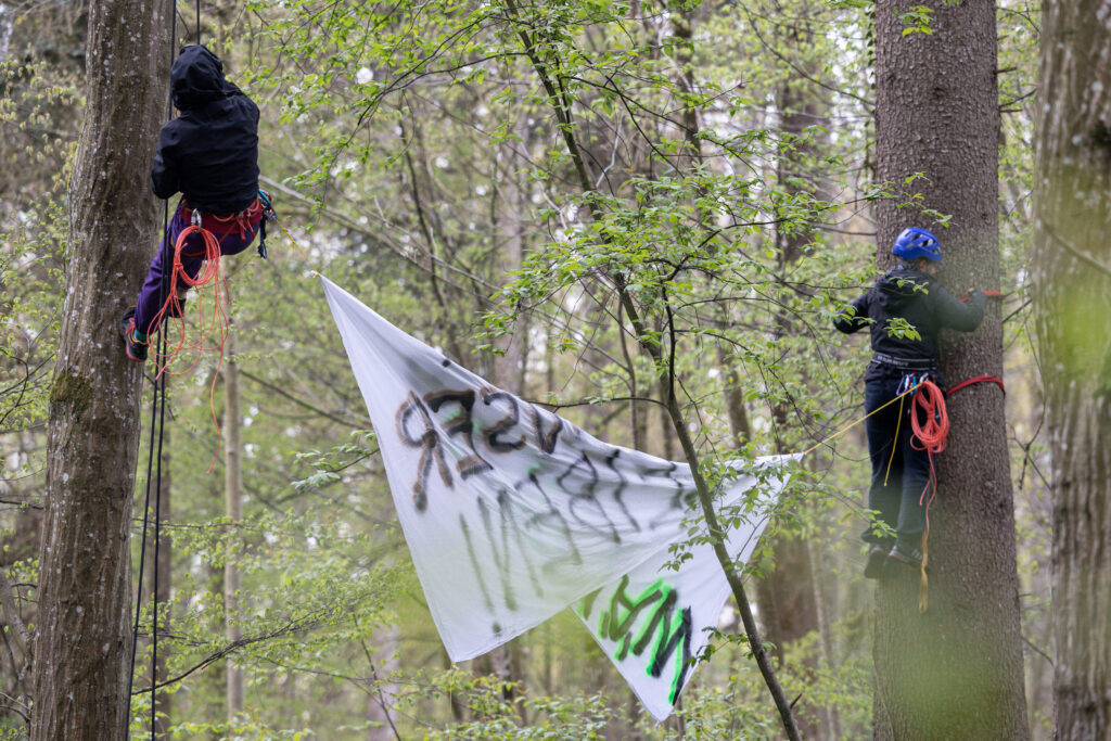 WaldstattRepression tweet media