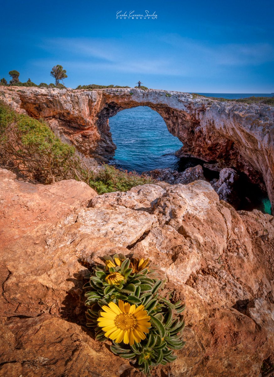 Bon dia! Cala Varques #Mallorca
@FotoRuanoPro @VanguardPhotoES
@UHmallorca @visit_mallorca
@SonyEspana #PicOfTheDay  #PaisajesDelMundo
@ThePhotoHour @tiempobrasero #MisFotosDeBaleares #cielosESA #landscapephotography
#bestsunsetphoto #SunsetTrip #sunsets #sunset_pics