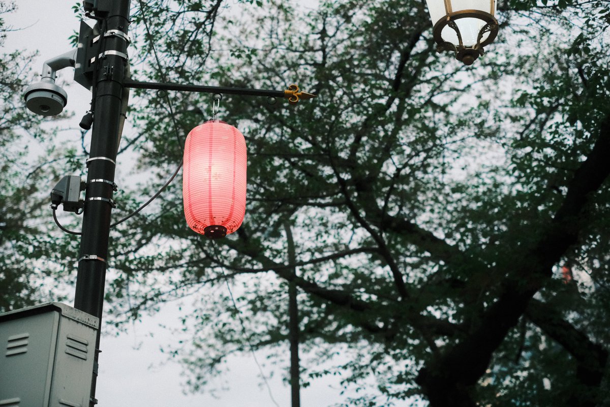 parallelogram_6's tweet photo. 2023/0408 曇りのち雨
#fujifilim https://t.co/aFZcMA68HH