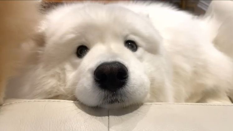 ‘ขออ้อนหน่อยคับ’