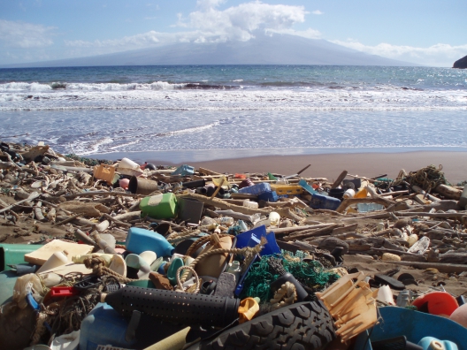 GiveaHand45's tweet photo. Please pick up the trash and throw it in garbage can Give a Hand! For a Better World!
#nature #trash #garbage #ocean #animals #beach #plogging #plogolution https://t.co/Lck8kRrzay
