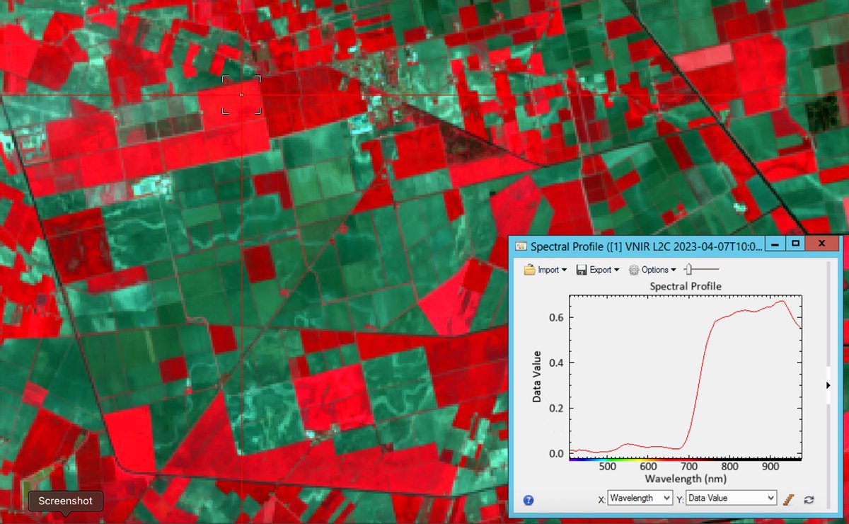 Mirco Boschetti tweet media