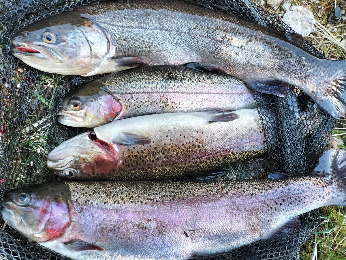 みそ@脱走兵 tweet media