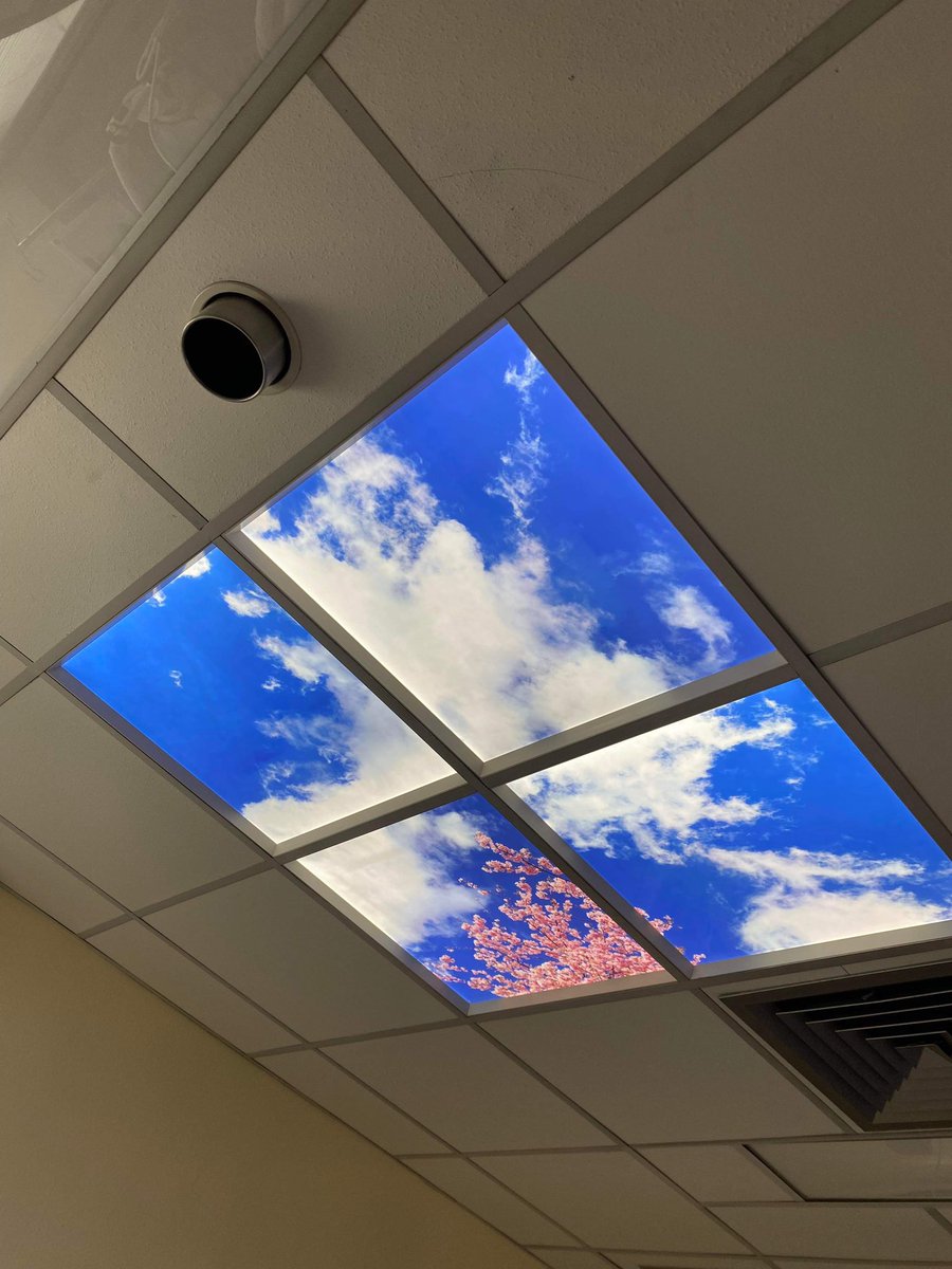 Brightening up our side rooms with these new sky lights 🌞 Great work <a href="/amy_jones53/">Amy Jones</a> <a href="/JulesLewis6/">Jules Lewis RGN MSc 💙🦢</a>  thank you!!