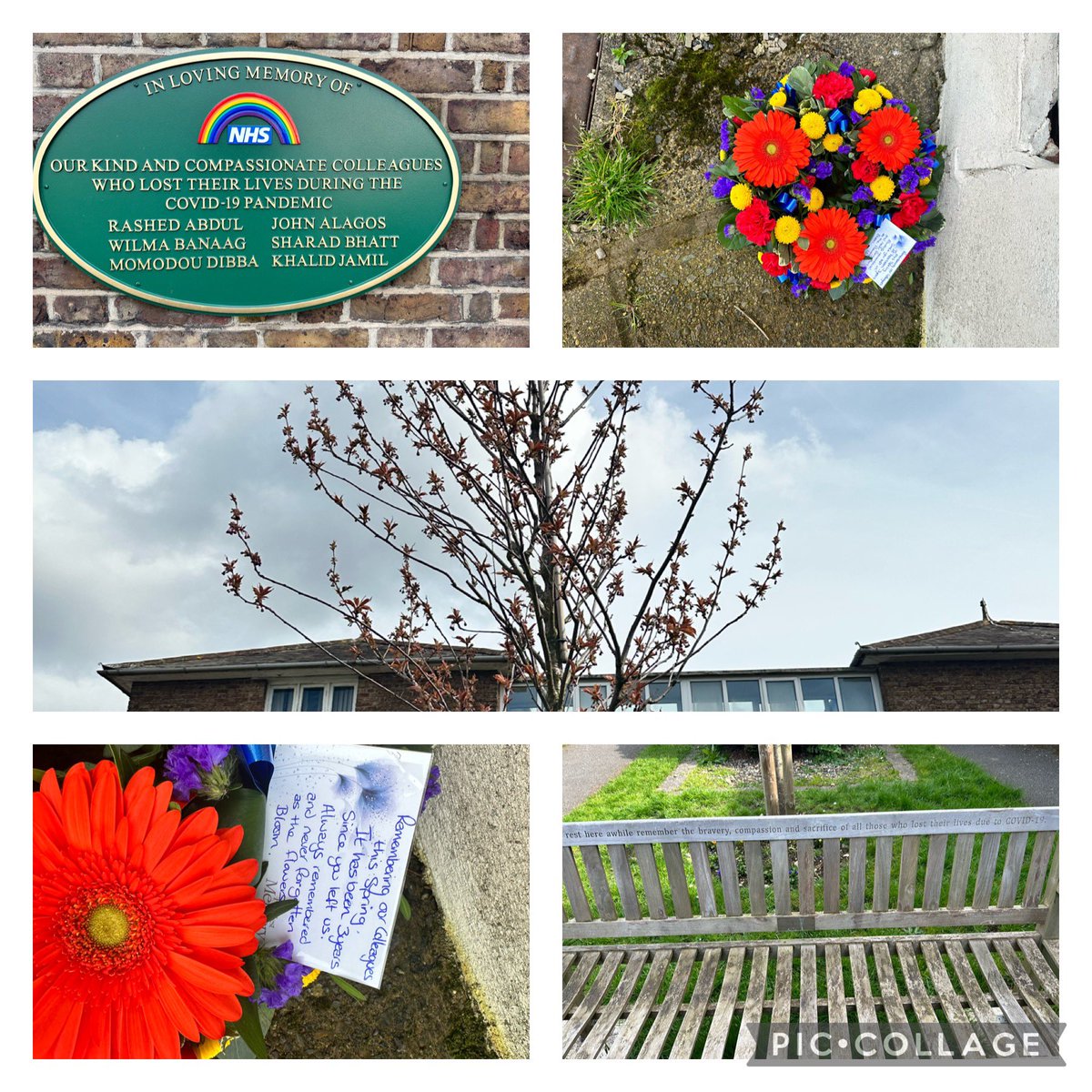 Just remembering our colleagues <a href="/WestHertsNHS/">West Herts Teaching Hospitals NHS Trust</a> who died during the spring of 2020 💙 
3 years have passed however, as the spring flowers bloom I always remember 🌈 #TeamWestHerts #pandemic