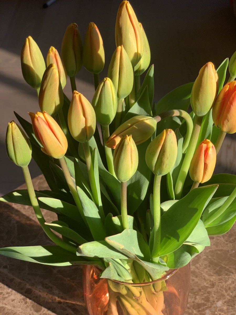 SylviaBakkerK's tweet photo. Lente in huis!
#paasbest https://t.co/OVdf5QjMPn