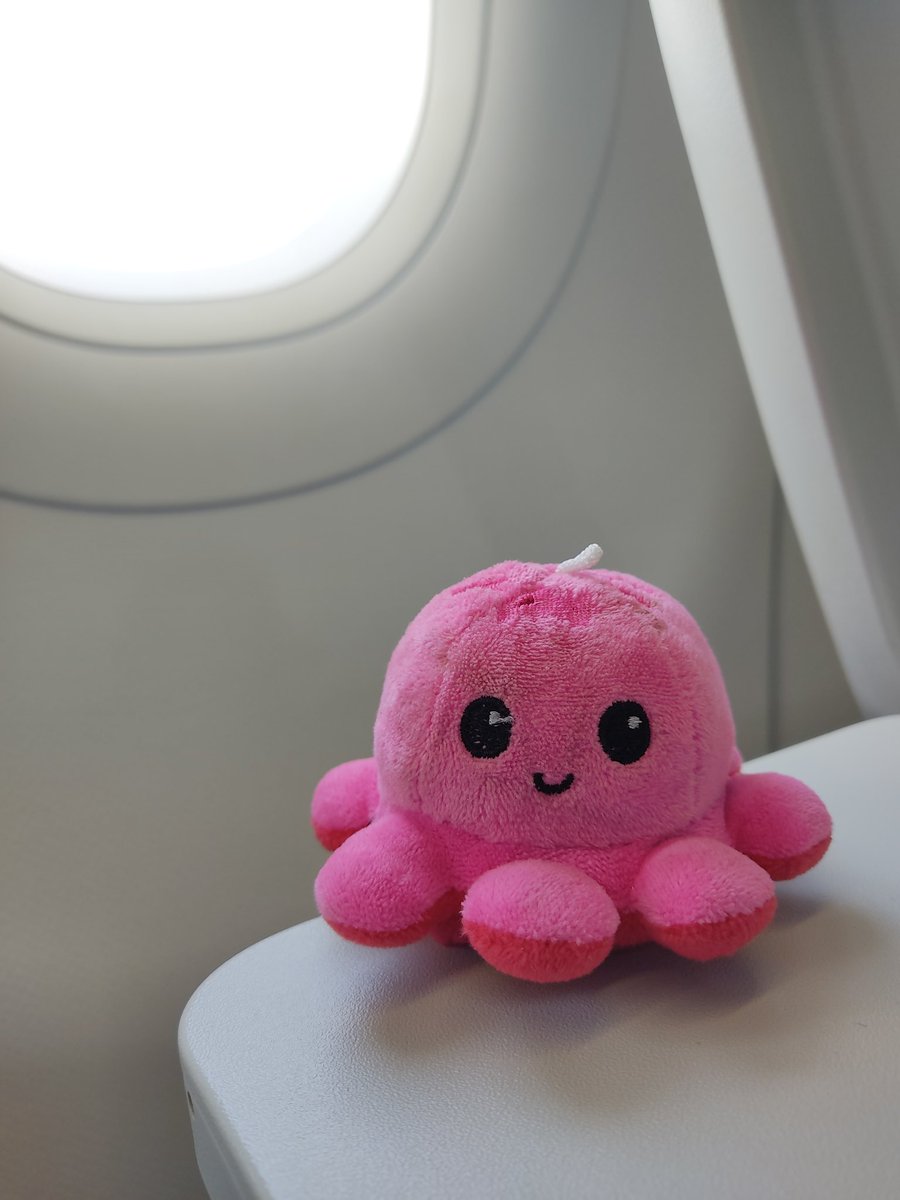 IM_HUHRUBY's tweet photo. Manila 😍🤟

#HUHRUBY #PINK_RUBY https://t.co/Nd0c4pipTG