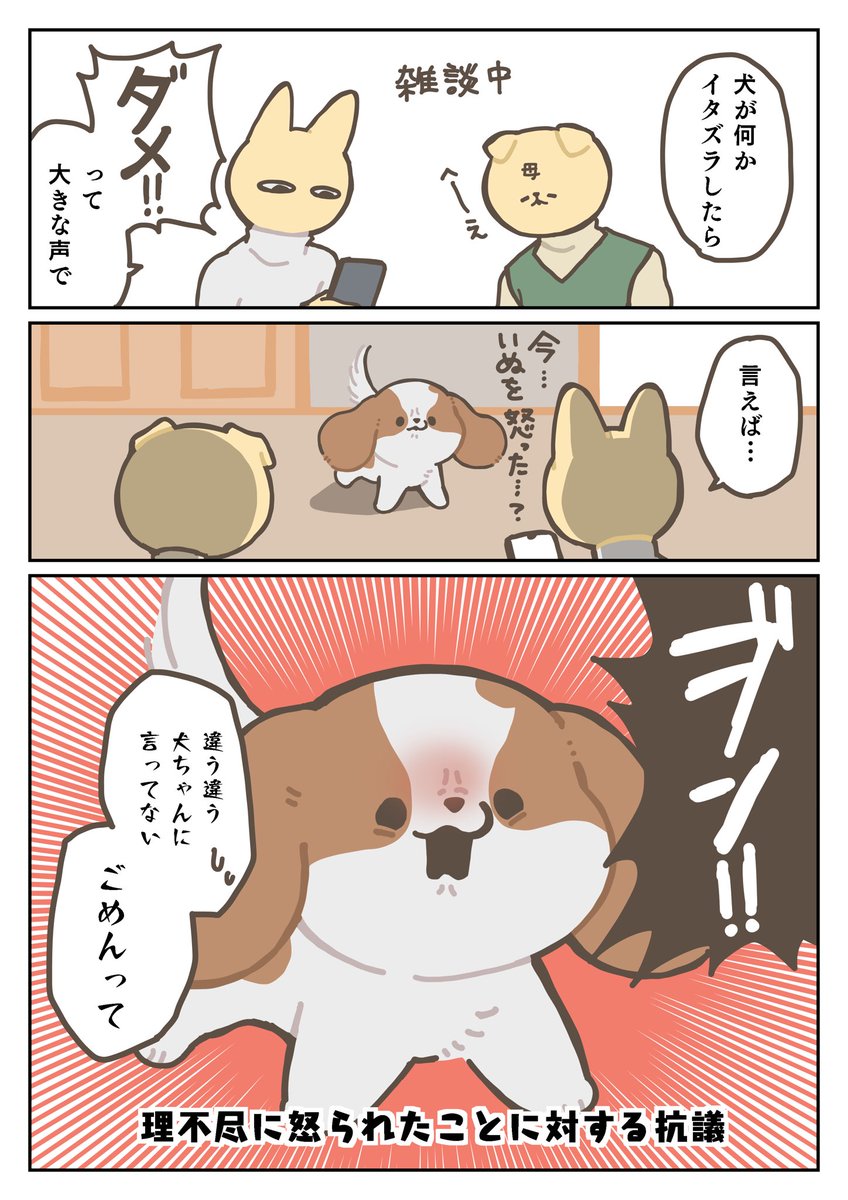 犬日記 自分が悪くないときは言い返せる犬 