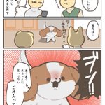 ちゃんと怒られてる事を理解している。「自分が悪くないときは言い返せる犬」