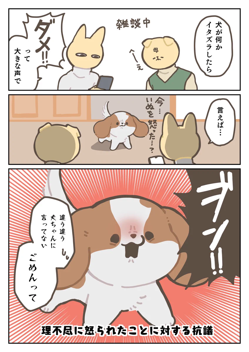 ちゃんと怒られてる事を理解している。「自分が悪くないときは言い返せる犬」