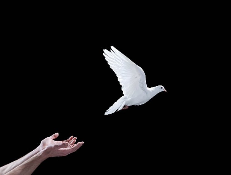 Auguri di buona Pasqua. Che sia davvero di buon auspicio per “passare oltre” verso un orizzonte di pace e libertà.