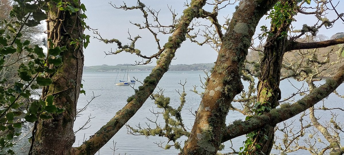 BevHunt72's tweet photo. So #Walk25 of my 55 challenge for #OneMedicine @HumanimalTrust is underway..have arrived at #Trelissick and have set off..nice and sunny but a bit blowy...
https://t.co/9UUUGXoP5Q https://t.co/0UAKD8ghmO