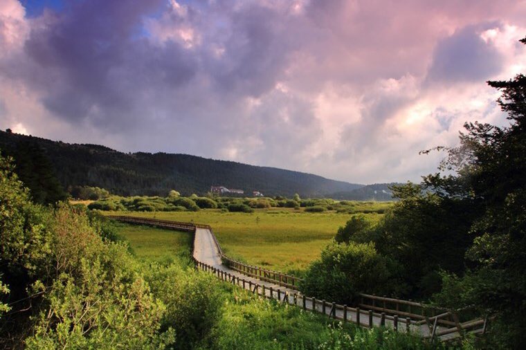 Abant Gölü, Bolu📍