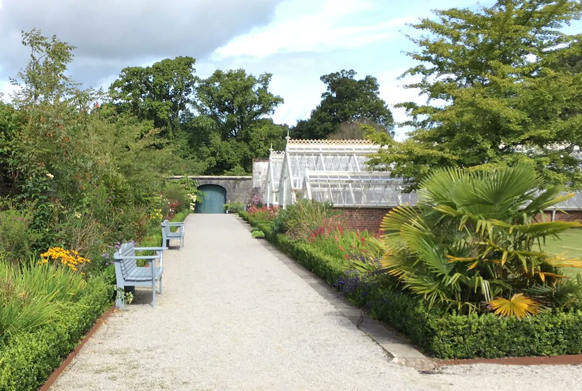 Yay Cork tweet media