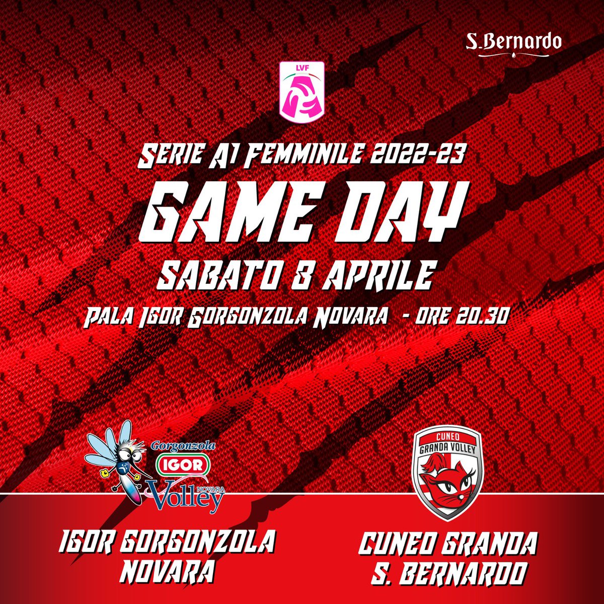 Cuneo Granda Volley tweet media