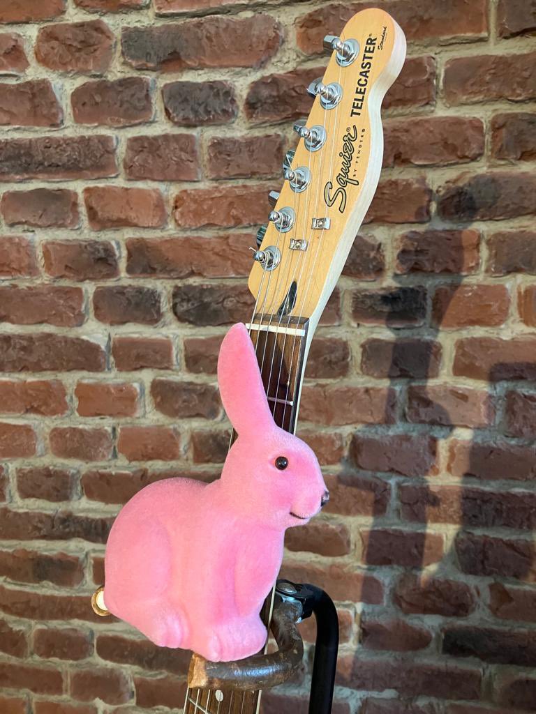 chrisregez's tweet photo. Happy Easter Bunny! Enjoy your Easter Weekend and take care, Chris #easter #easterbunny #guitar #squierguitars #squiertelecaster #chrisregez #weekend #longweekend https://t.co/v6WPIWdcQs