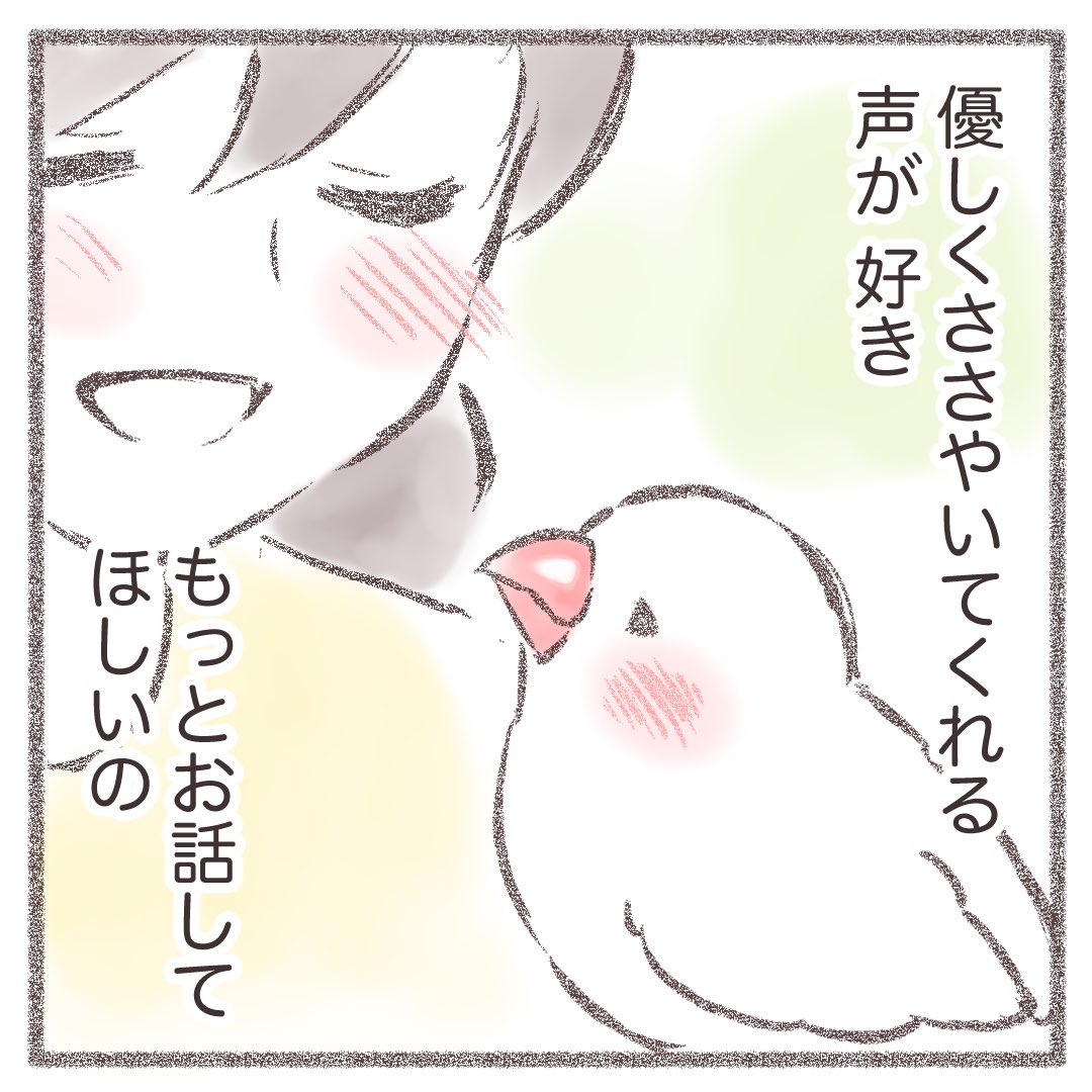 かいぬしの声を聞くと安心するの✨

#文鳥 #javasparrow 