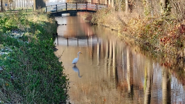 Foto van de Week in Weekblad Regio Oss -  kliknieuwsoss.nl/l/206904