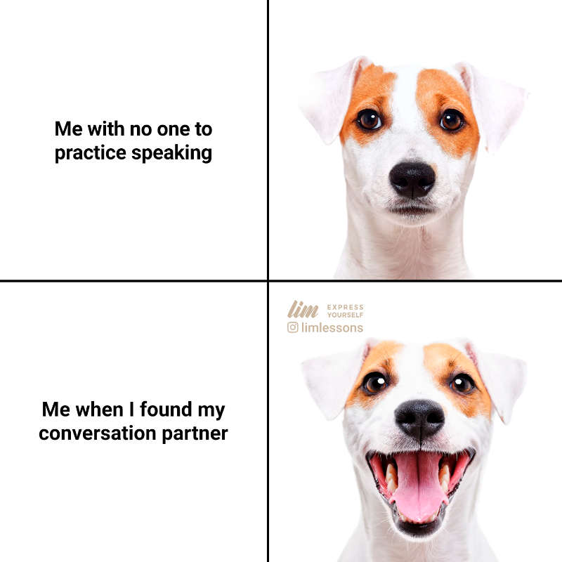 Try a lesson today! 🙂

➡ limlessons.com

#learnenglish #languages #exchangelessons #conversation #onlinelessons #dogs #languagepartner #doglovers #languagesschool #nativespeakers #memes #funny #funnydog #aprenderingles #speakenglish #funnymeme #laugh #memeoftheday
