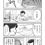 100点満点の避難!地震が起きたときの愛猫の行動を描いた「猫漫画」が話題に!