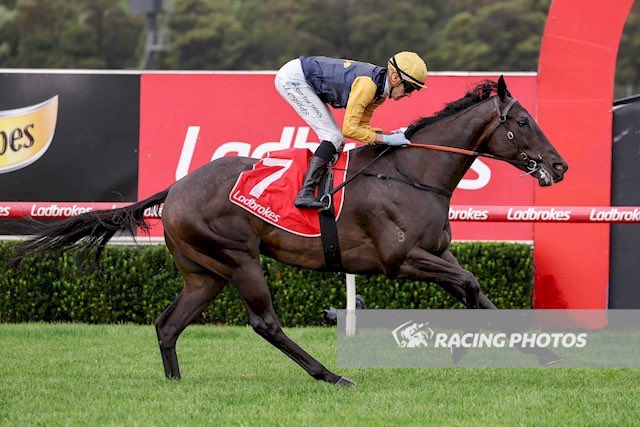 So incredibly proud and pleased to achieve a G3 victory with Cardinal Gem today in the Vic Hcp at Sandown.  He was a $60k purchase from the 2020 <a href="/inglis_sales/">Inglis</a> MPYS. All Credit as always goes to the Master Trainer <a href="/Grahame_Begg/">Grahame Begg Racing</a> and our team at Cranbourne. 🍑 from <a href="/JChilds47/">Jordan Childs</a>