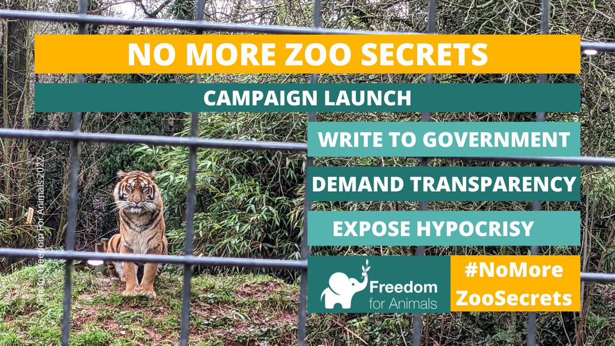 Zoos hold thousands of innocent lives captive across the UK. It's time to change licensing so the public can know the animals that are bought, sold, bred, and killed by zoos - send your email to @theresecoffey today. #EndCaptivity #ZooAwarenessWeekend #NoMoreZooSecrets