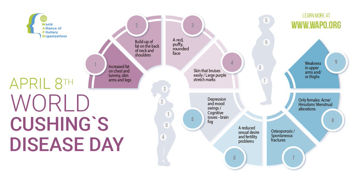 Today is #WorldCushingsDiseaseDay 🎉

A day to raise awareness about Cushing's Disease. This great infographic from WAPO gives insight into the key symptoms of Cushing's Disease. 

Please share this post alongside your Cushing's story to raise awareness!

#BecauseHormonesMatter