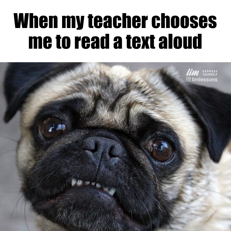 🐶🤣🤣

#learnenglish #dogs #pugs #funnypug #pugsofinstagram #doglovers #languagesschool #school #humor #memes #funny #funnydog #meme #aprenderingles #lol #toefl #speakenglish #cachorroengracado #funnymeme #teacher #lesson #memestagram #memeoftheday