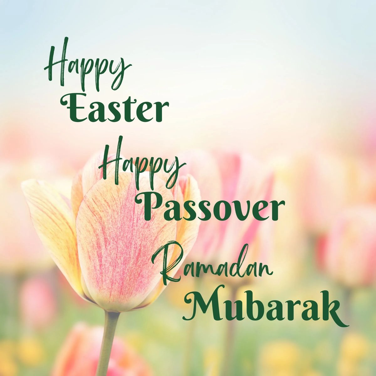 Only three times in a century will Ramadan, Passover and Easter, fall simultaneously. Wishing you all a very happy Bank Holiday Celebration.  Happy Easter ✝️  Happy Passover ✡️ Happy Ramadan ☪️