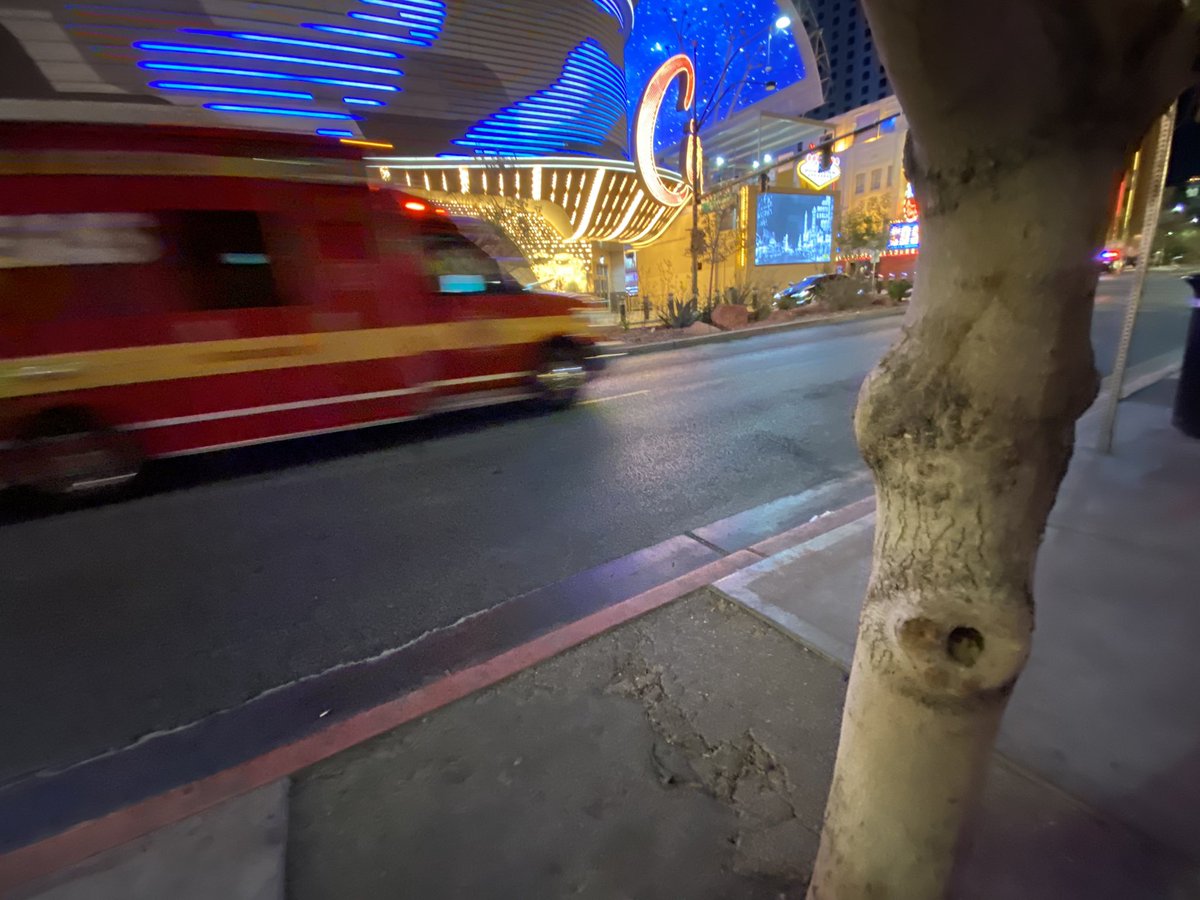 Vital Vegas on Twitter "Somebody called a tree doctor. Knot! (This joke was hilarious when we