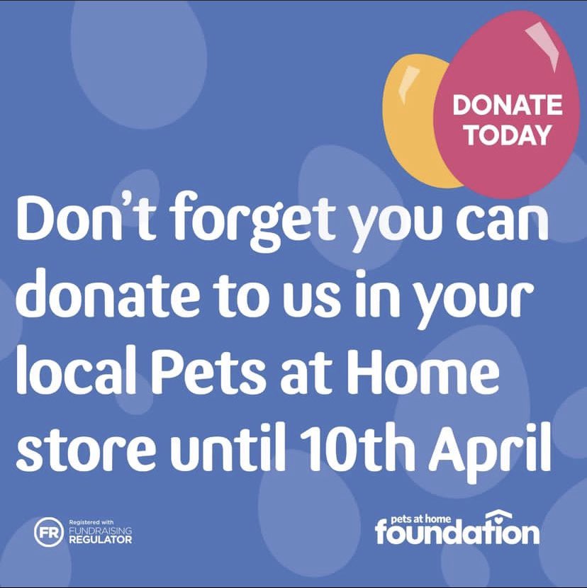 Greyhound Awareness League (GAL) (@gal_scotland) on Twitter photo 