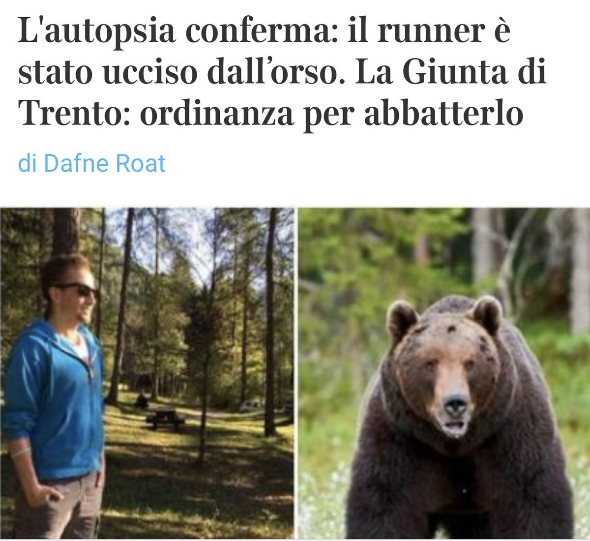 stanzaselvaggia's tweet image. Mi dispiace davvero moltissimo per la morte atroce del ragazzo ucciso da un orso mentre correva tra i boschi di Caldes, in Trentino. È la prima volta che un orso uccide una persona nel nostro paese. Ovviamente il presidente della provincia Fugatti ha già annunciato che l’orso,…
