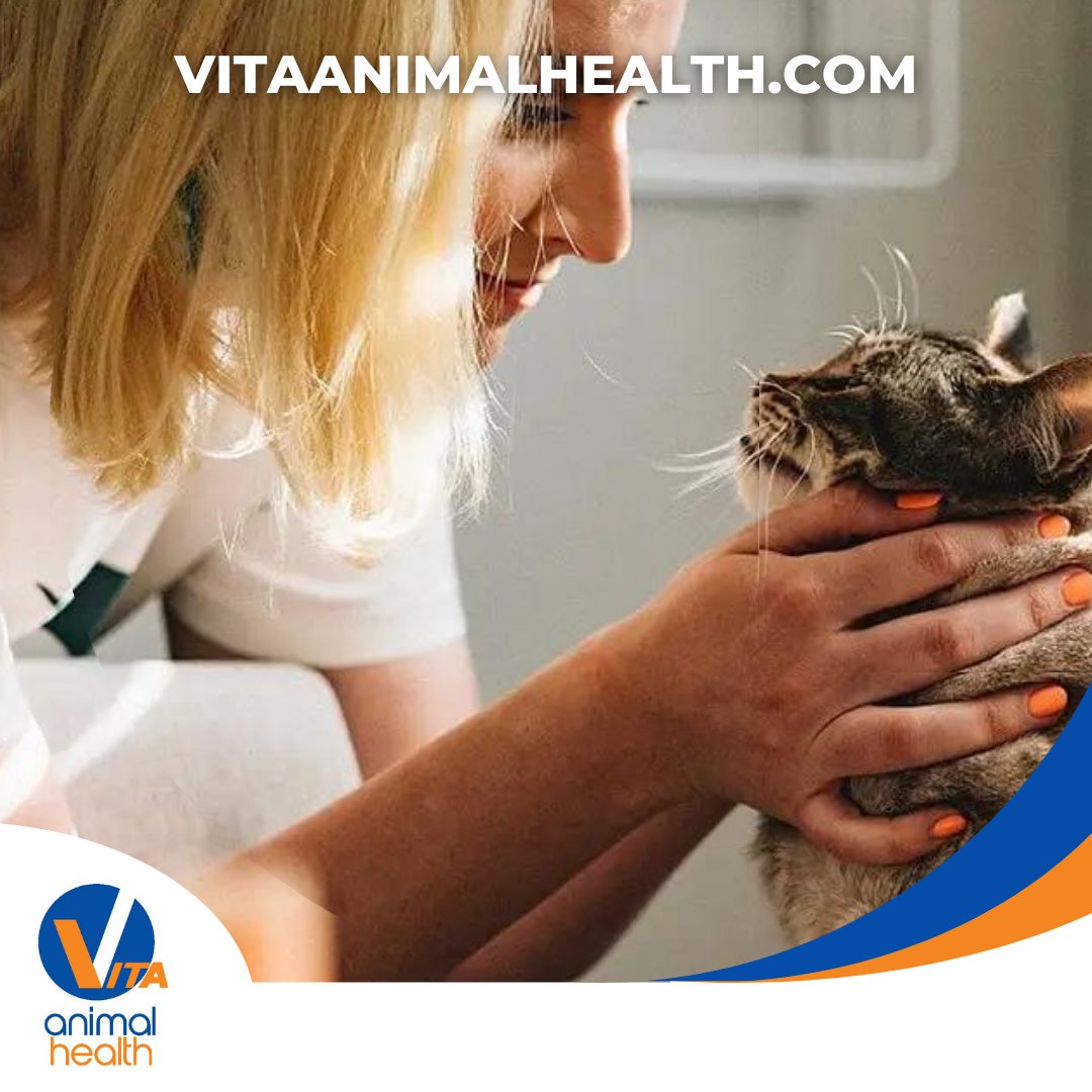 Have you been keeping up to date with your CPD this year?

We know how difficult it can be to squeeze CPD into your busy schedule, which is why we offer FREE CPD, provided by #veterinaryprofessionals for you to view at your convenience

Check it out 🔗
vitaanimalhealth.com/vet-corner/