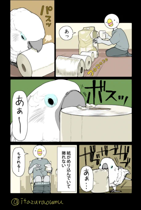 つい齧りたくなるトイレットペーパー https://t.co/1gEqYa7f9e