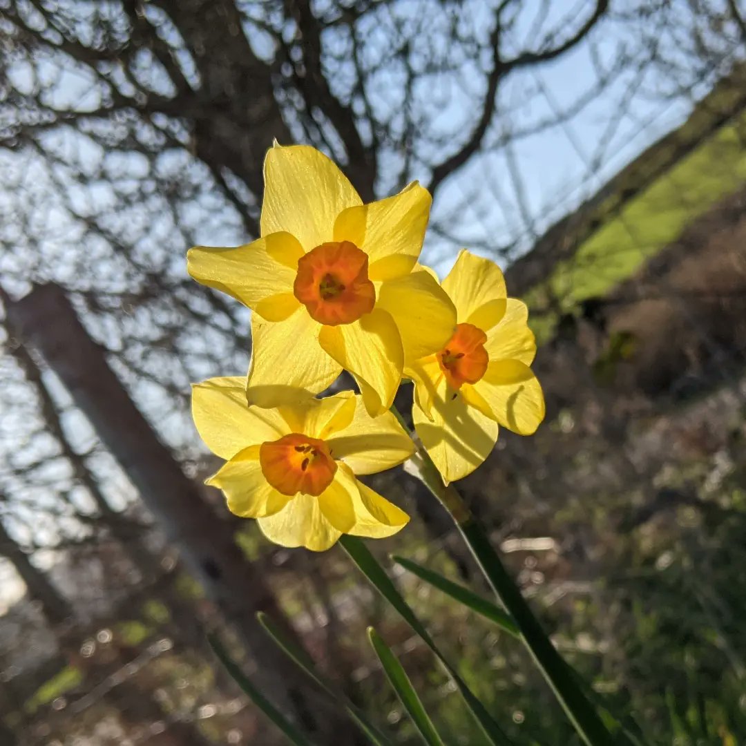 hazel_mount's tweet photo. Morning Twitter the sun is shining and the camp site is ready 🥰. Tent pitches are still available this weekend 😉
@LakesCumbria @ShowcaseCumbria
@CumbriaWeather @WestTourism
@CumbriaCrack @cumbriapictures https://t.co/83R0Yzn57T