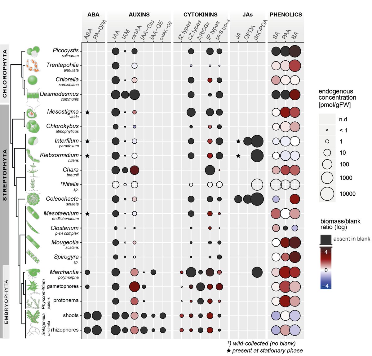 Happy to share our new @bioRxiv pre-print: we provide a comprehensive profile of plant hormones in all streptophyte #algae lineages and some other as outgroups. 
Find out more: biorxiv.org/content/10.110…

🧵[1/10]:

<a href="/PetrasekLab/">Petrášek Lab</a> #phytohormones #evolution