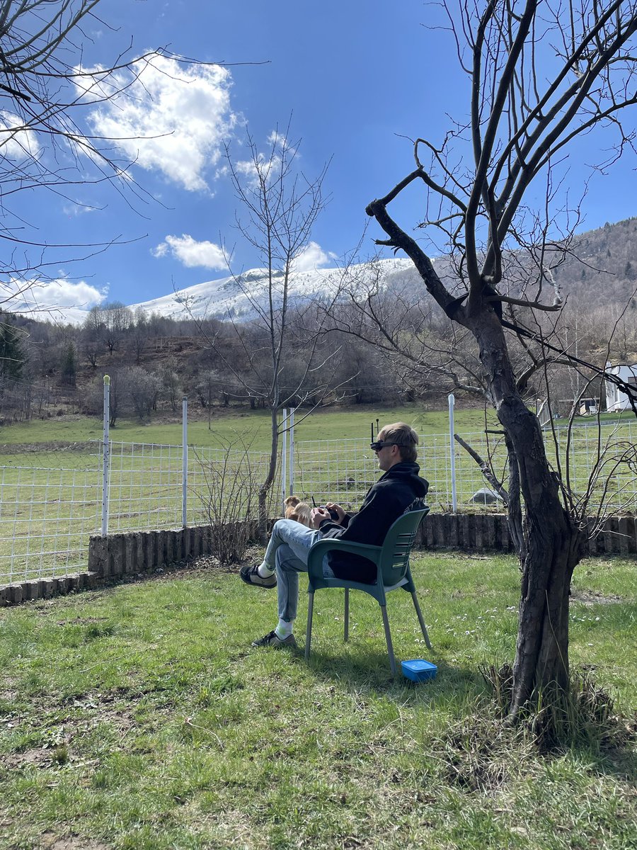 Gm!

Touching grass the wrong way