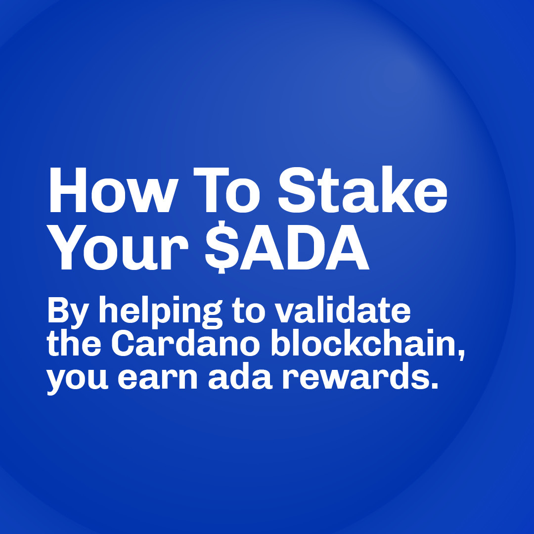 Input Output Group tweet media