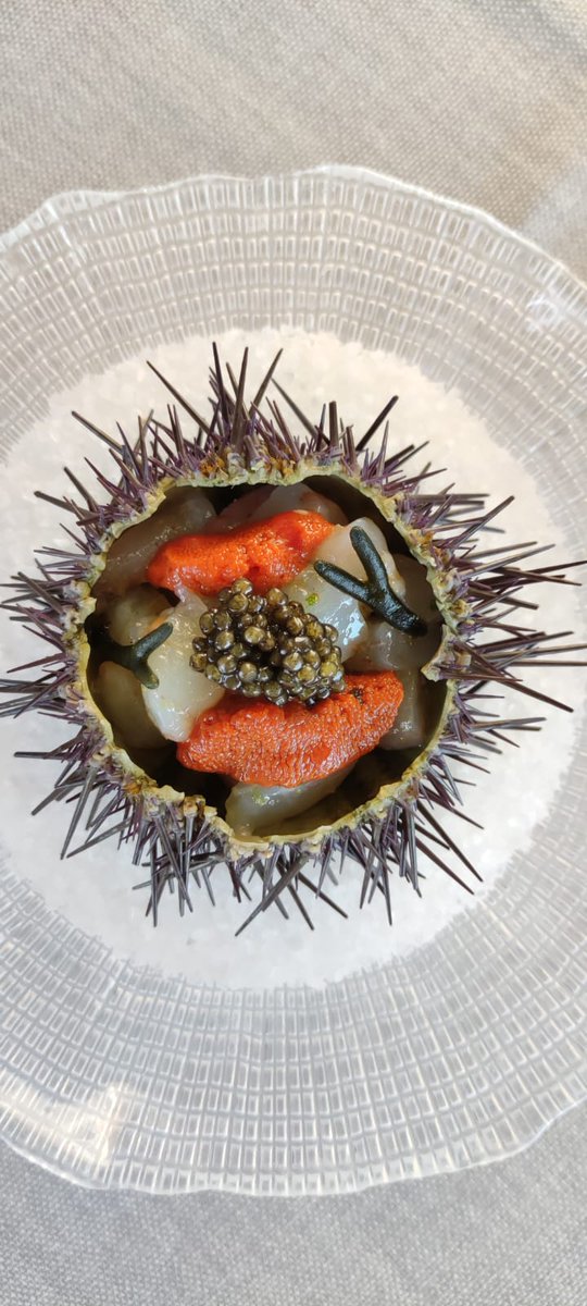 Déjate llevar por los productos de temporada y nuestros platos fuera de carta 😍
Degusta este fin de semana de nuestro sabroso Tartar de gamba blanca, con erizo de mar y caviar de beluga, un bocado delicado pero lleno de sabor 😋