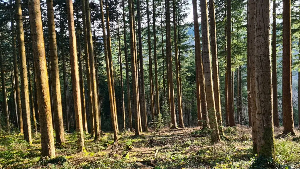 Last nights park up was epic! This is the view from our window. Beautiful 😍 
We hoped it would be a peaceful night lol?!🌙 🙏 ✨️💖🤗🚌
#vanlife #vanlifestyle #vanlifeuk #vanlifecouple #vanlifefreedom #lgbtvanlife #offgridlife #wildparkup