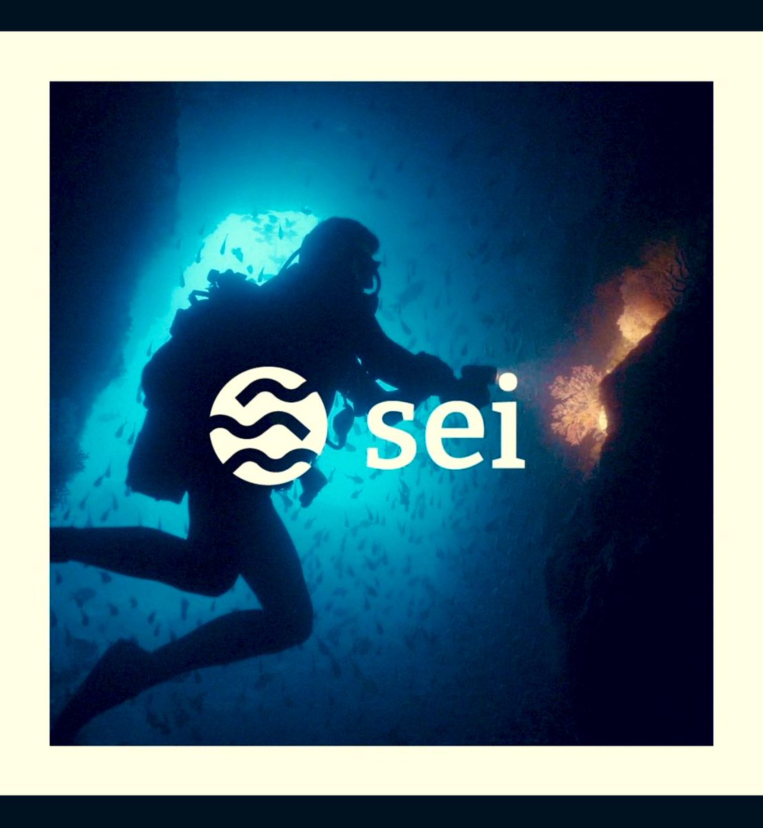 NameM7U's tweet photo. Hello #Sei fam  👋 I want to tell you about @SeiNetwork What is it ,and why is it needed?  as the project is very cool and quite interesting.  #SeiEcosystem https://t.co/1TujvWE01b